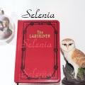 Labyrinth - Carnet de Sarah
